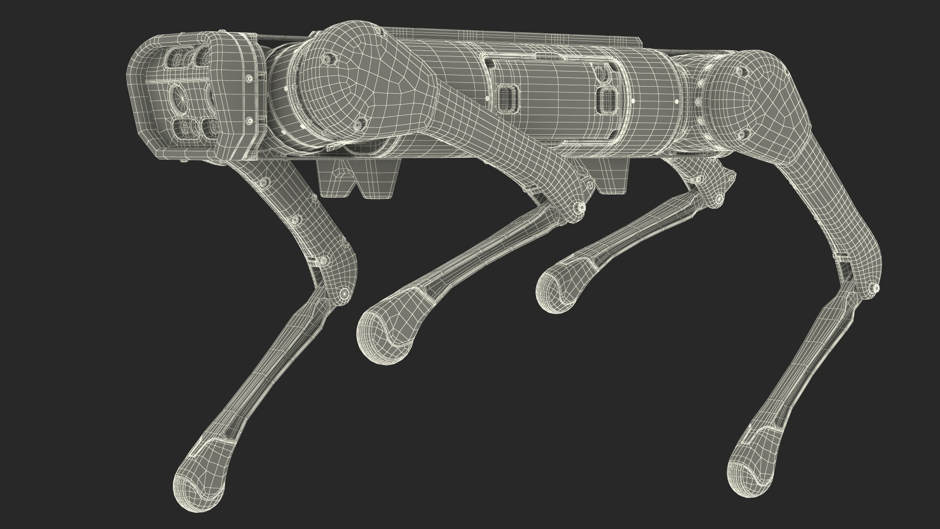 Aliengo Robot Dog Rigged 3D model