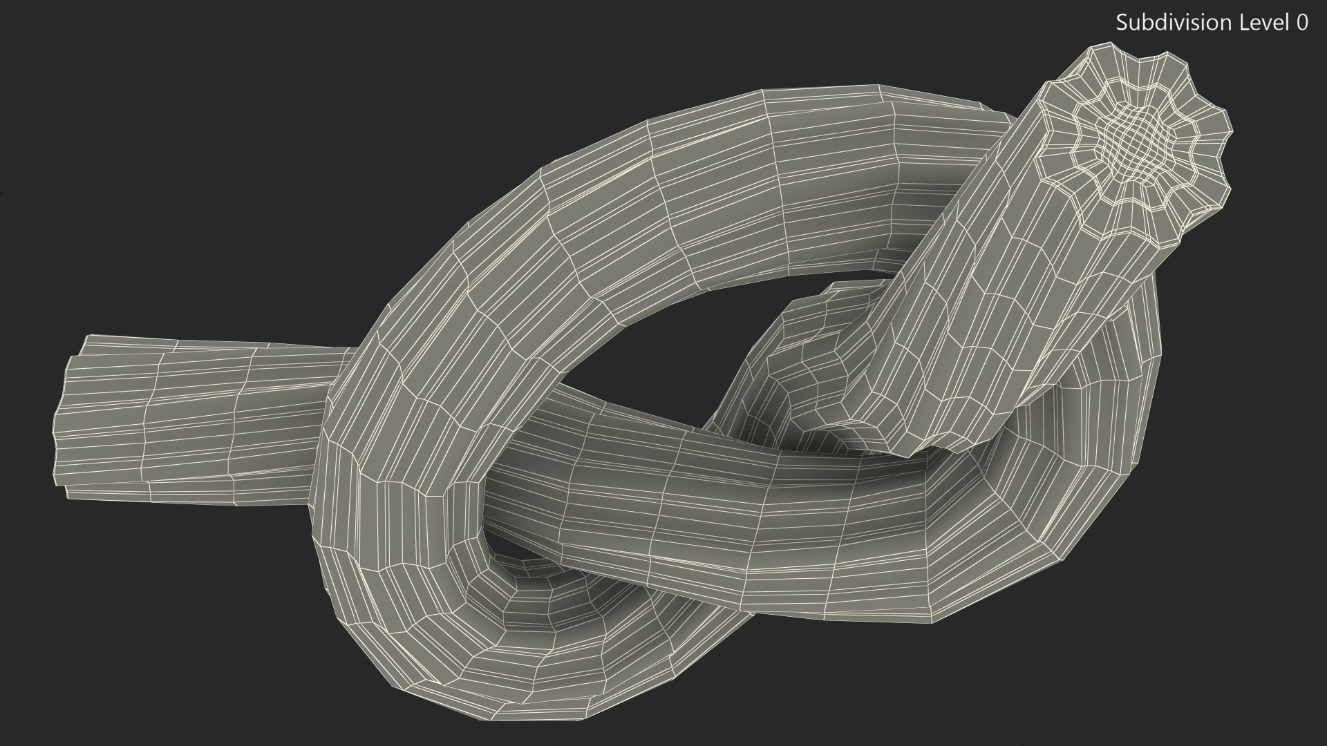 3D model Licorice Twisted Rope Candy Tied in Knot