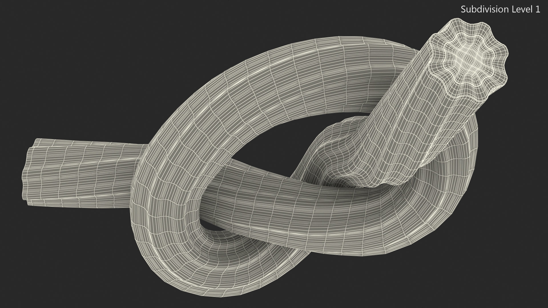 3D model Licorice Twisted Rope Candy Tied in Knot