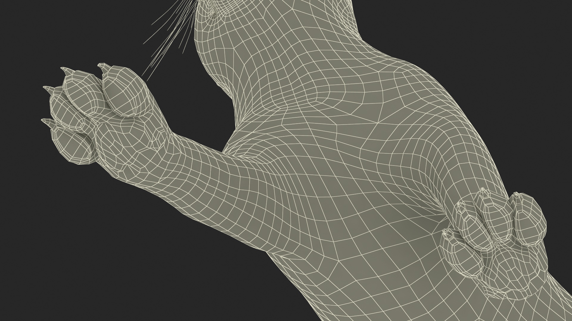 Manul Cat is Walking Fur 3D model