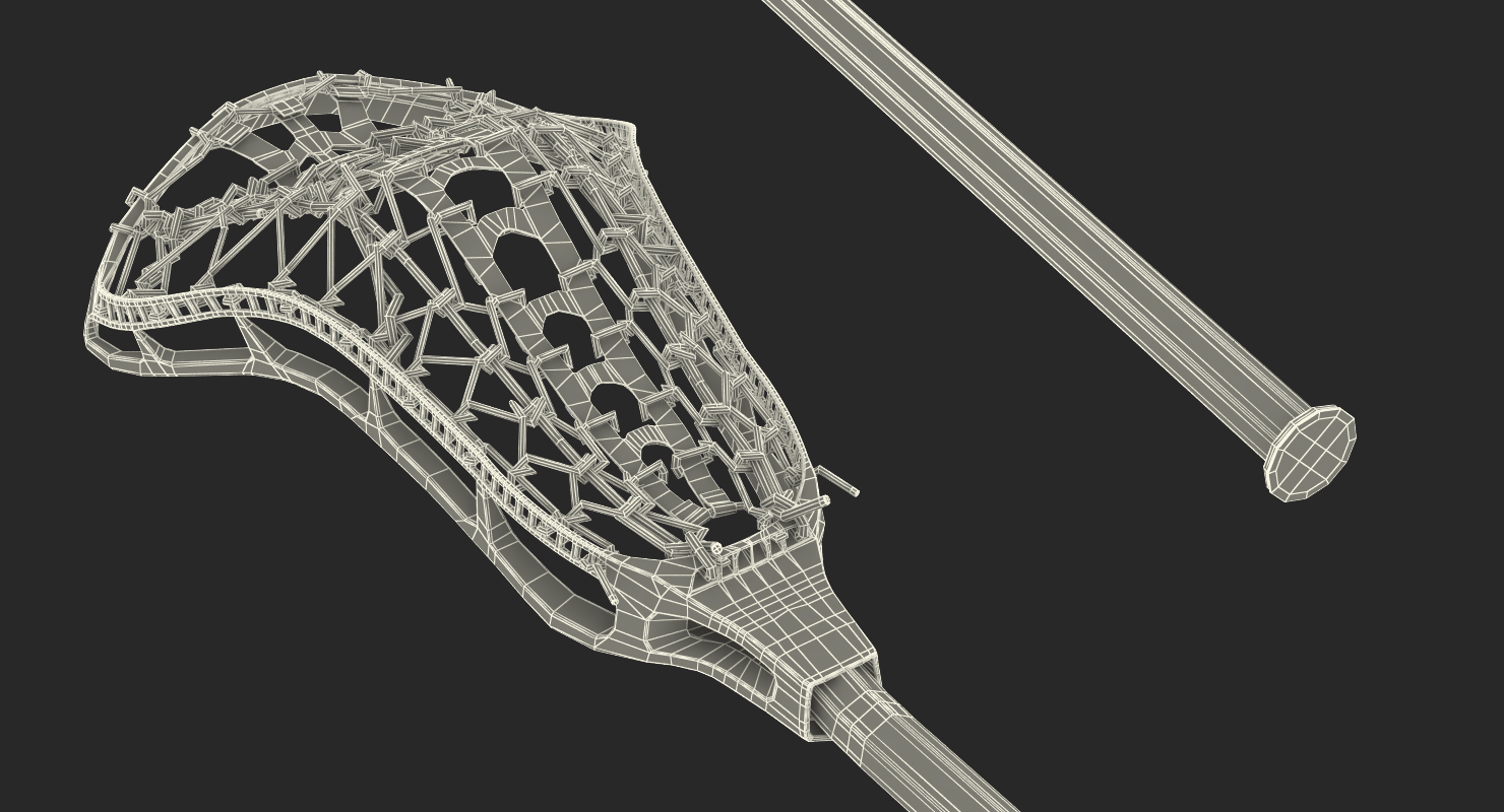Lacrosse Stick Generic 3D