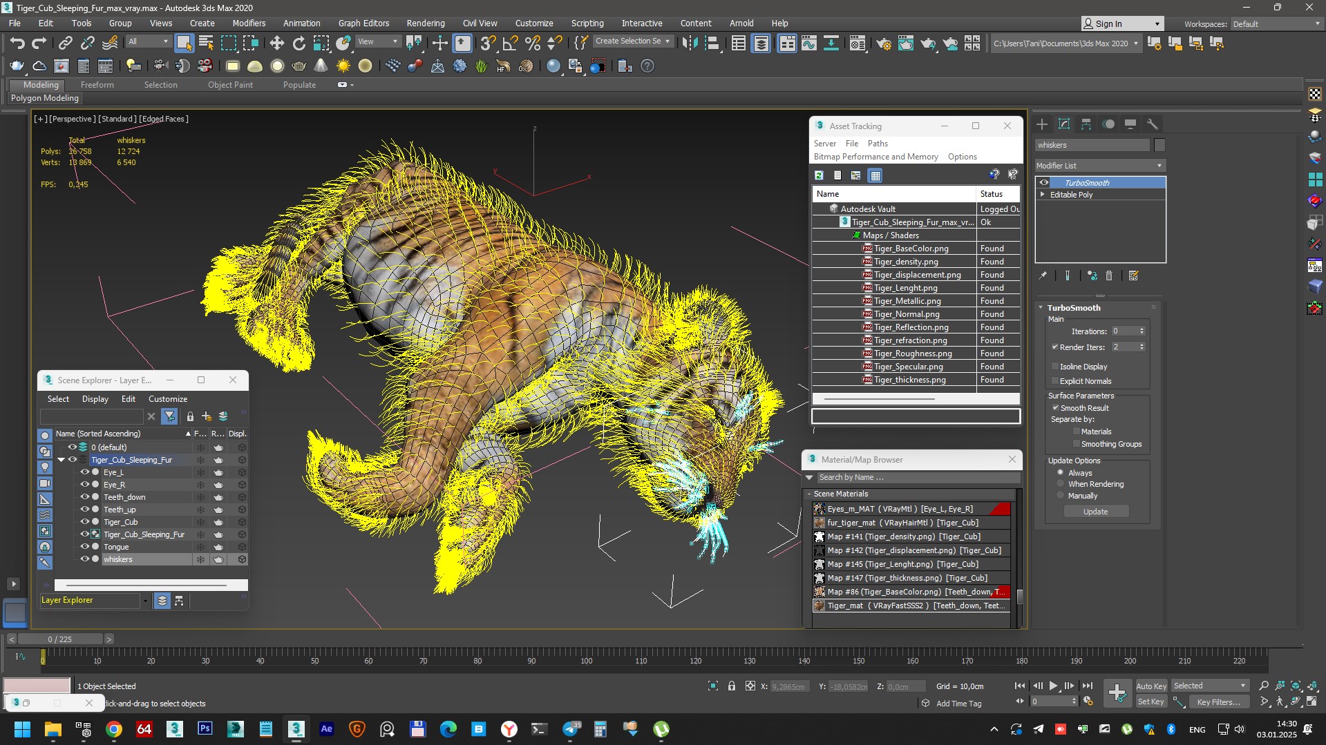 Tiger Cub Sleeping Fur 3D