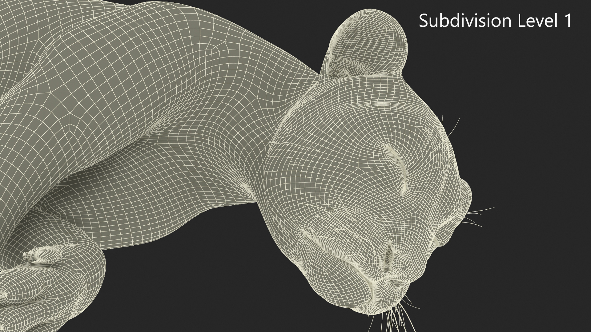 Tiger Cub Sleeping Fur 3D