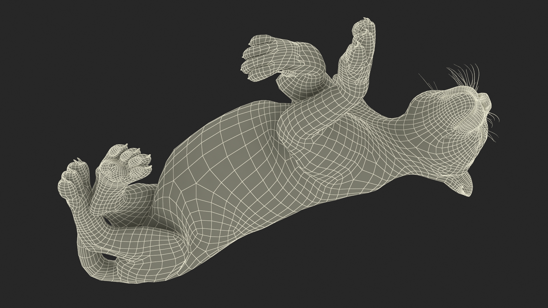 Tiger Cub Sleeping Fur 3D