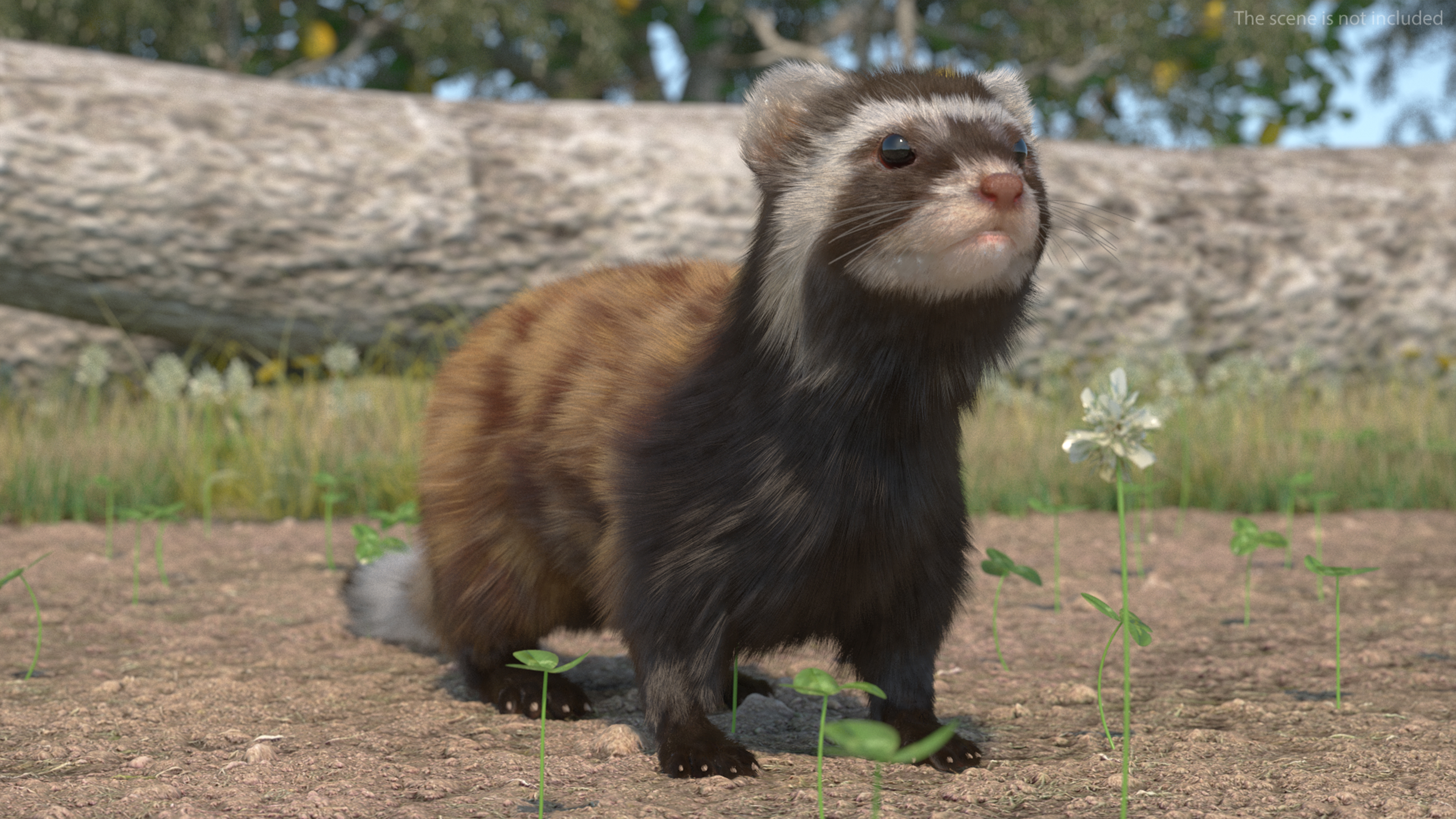 3D Vormela Peregusna Fur