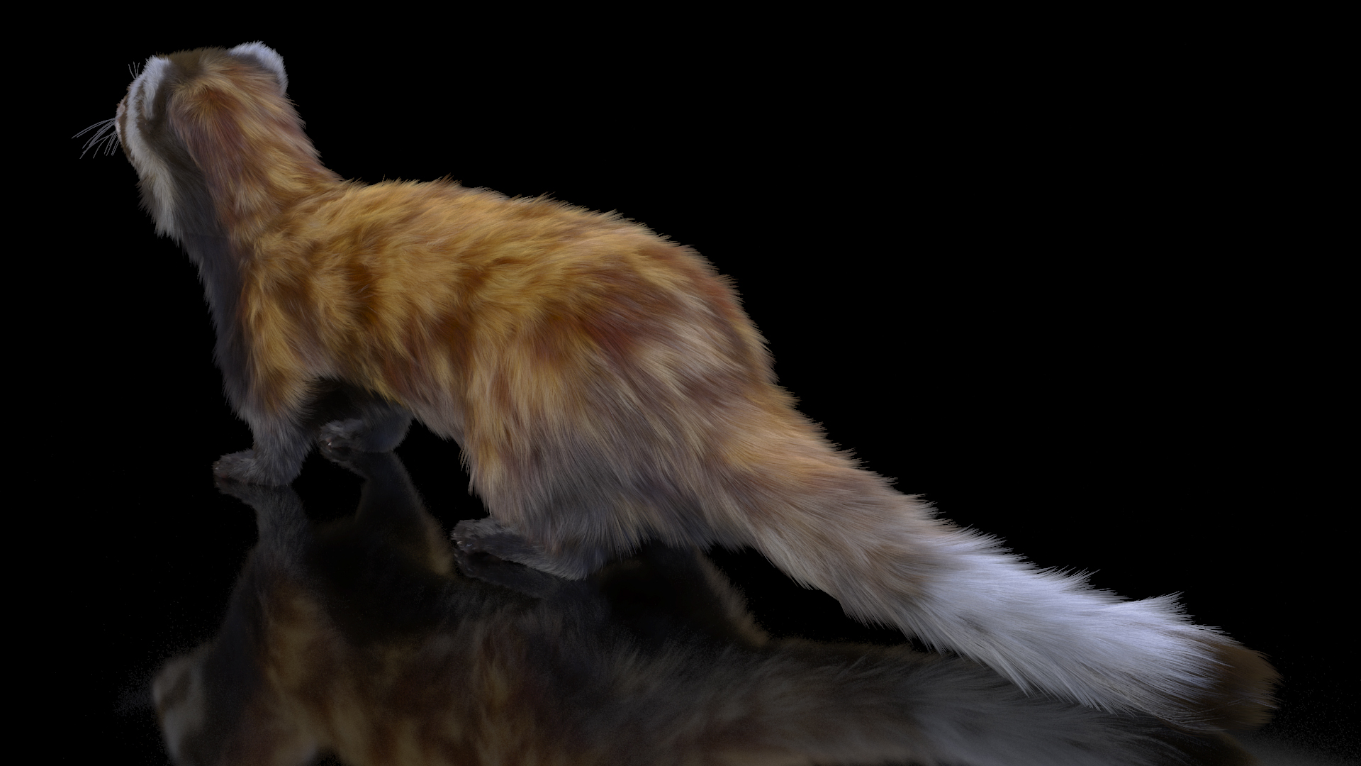 3D Vormela Peregusna Fur
