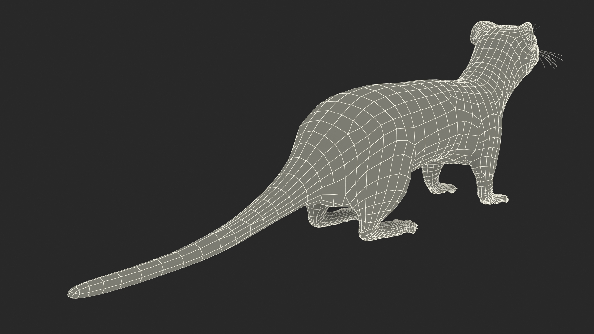 3D Vormela Peregusna Fur