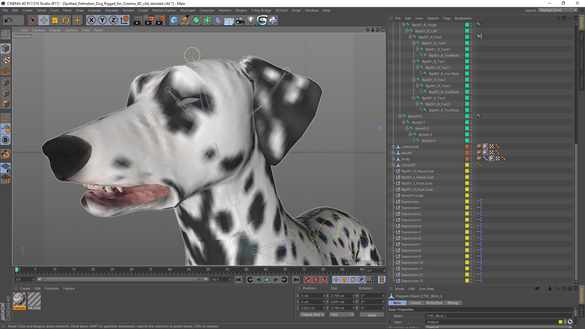 Spotted Dalmatian Dog Rigged for Cinema 4D 3D