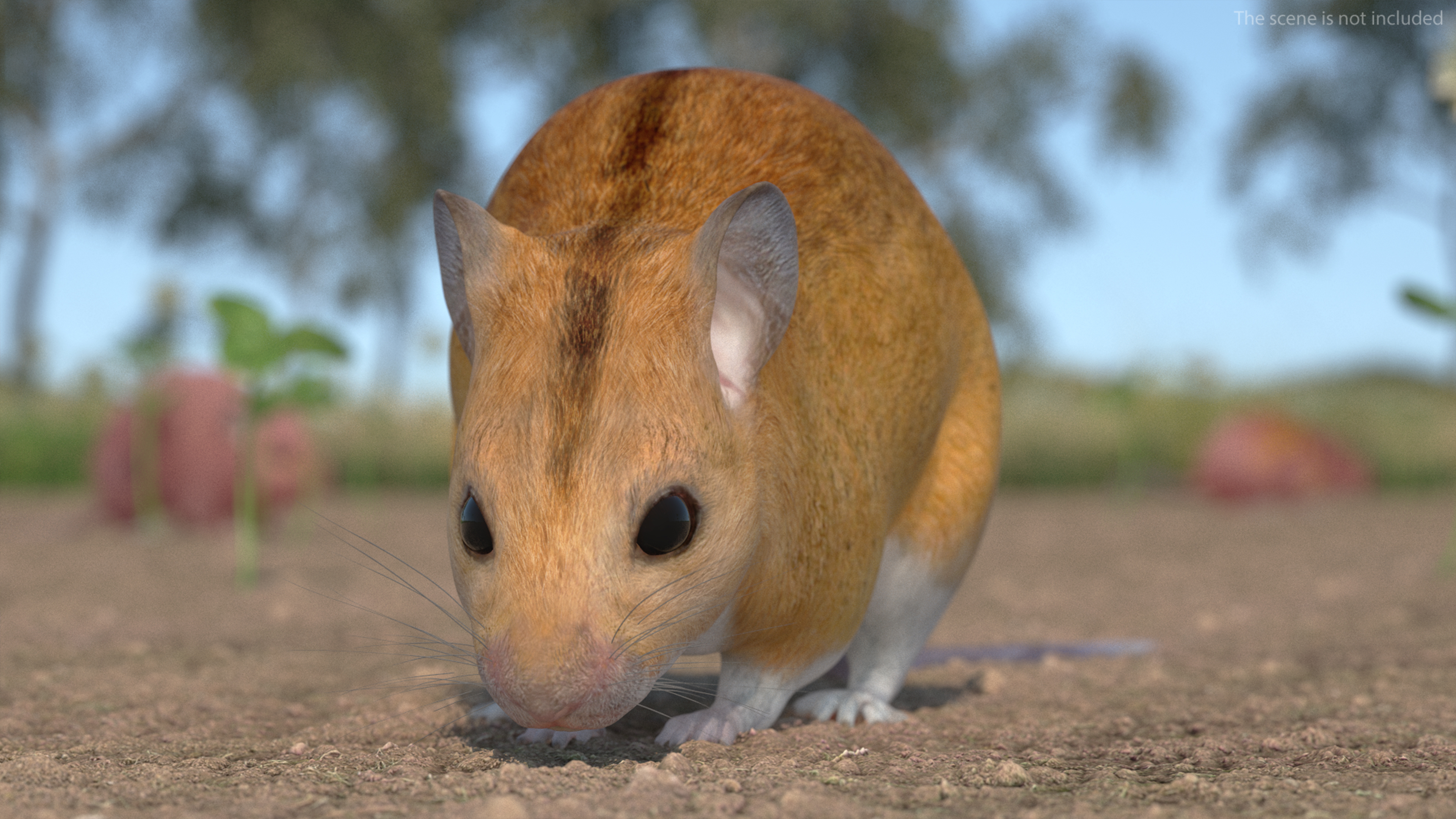 Calabyi Mouse Rigged for Cinema 4D 3D model