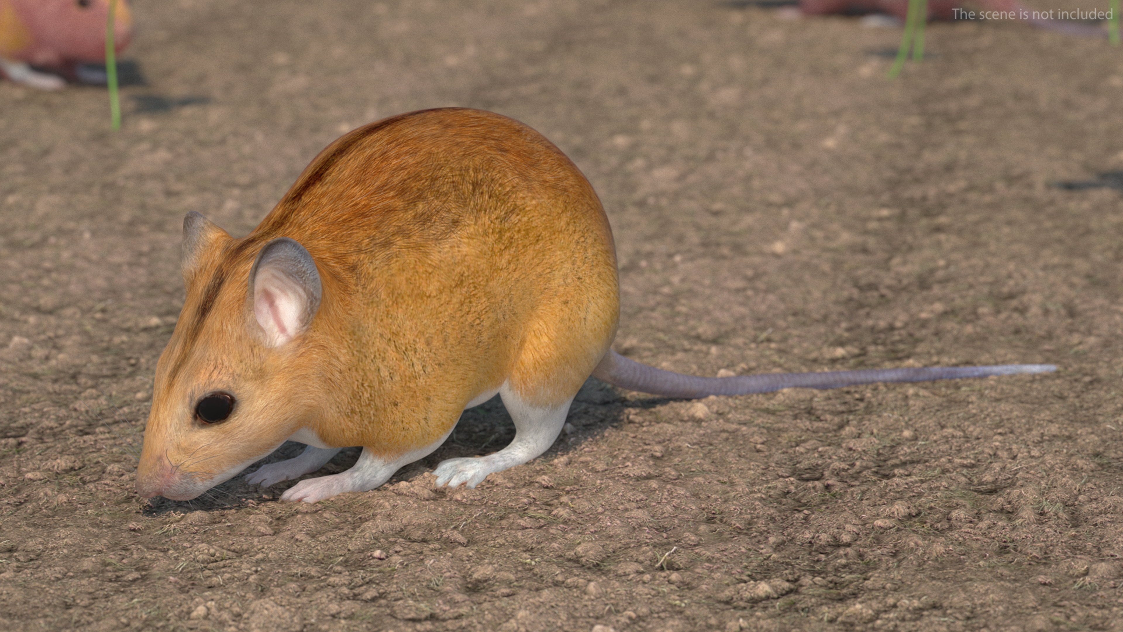Calabyi Mouse Rigged for Cinema 4D 3D model