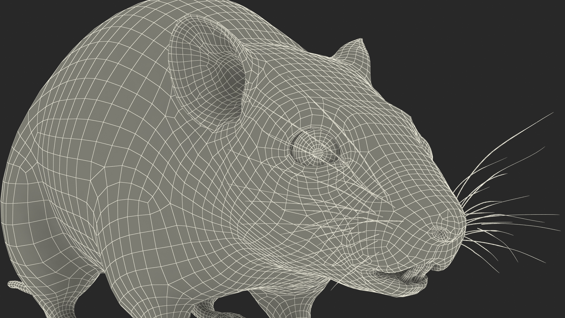 Calabyi Mouse Rigged for Cinema 4D 3D model
