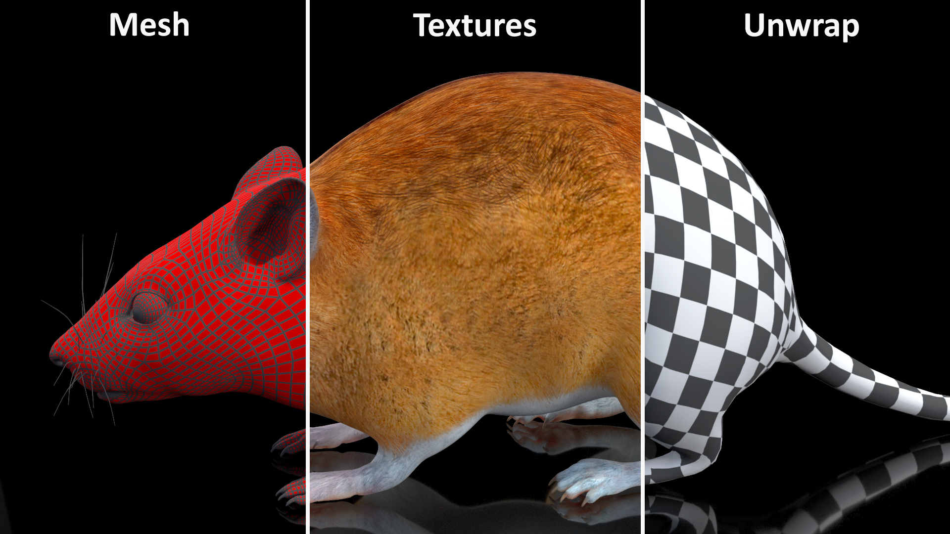 Calabyi Mouse Rigged for Cinema 4D 3D model