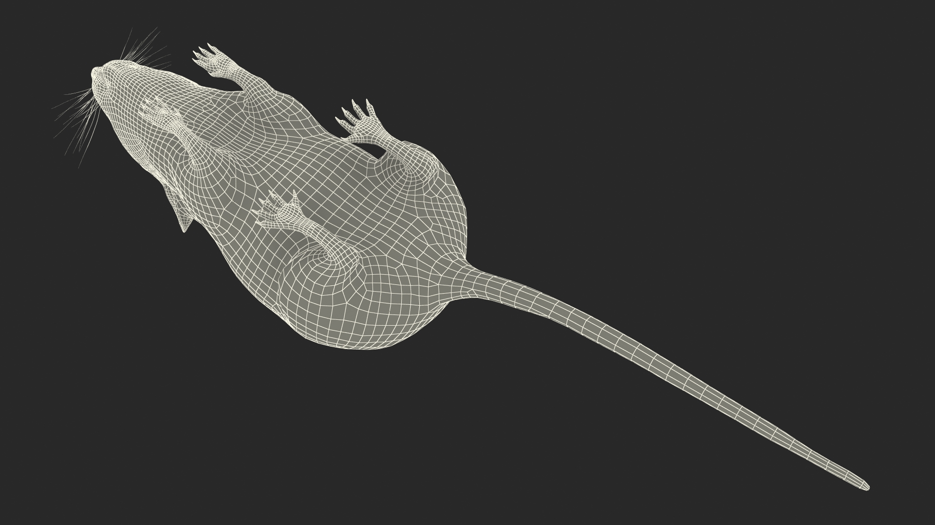 Calabyi Mouse Rigged for Cinema 4D 3D model