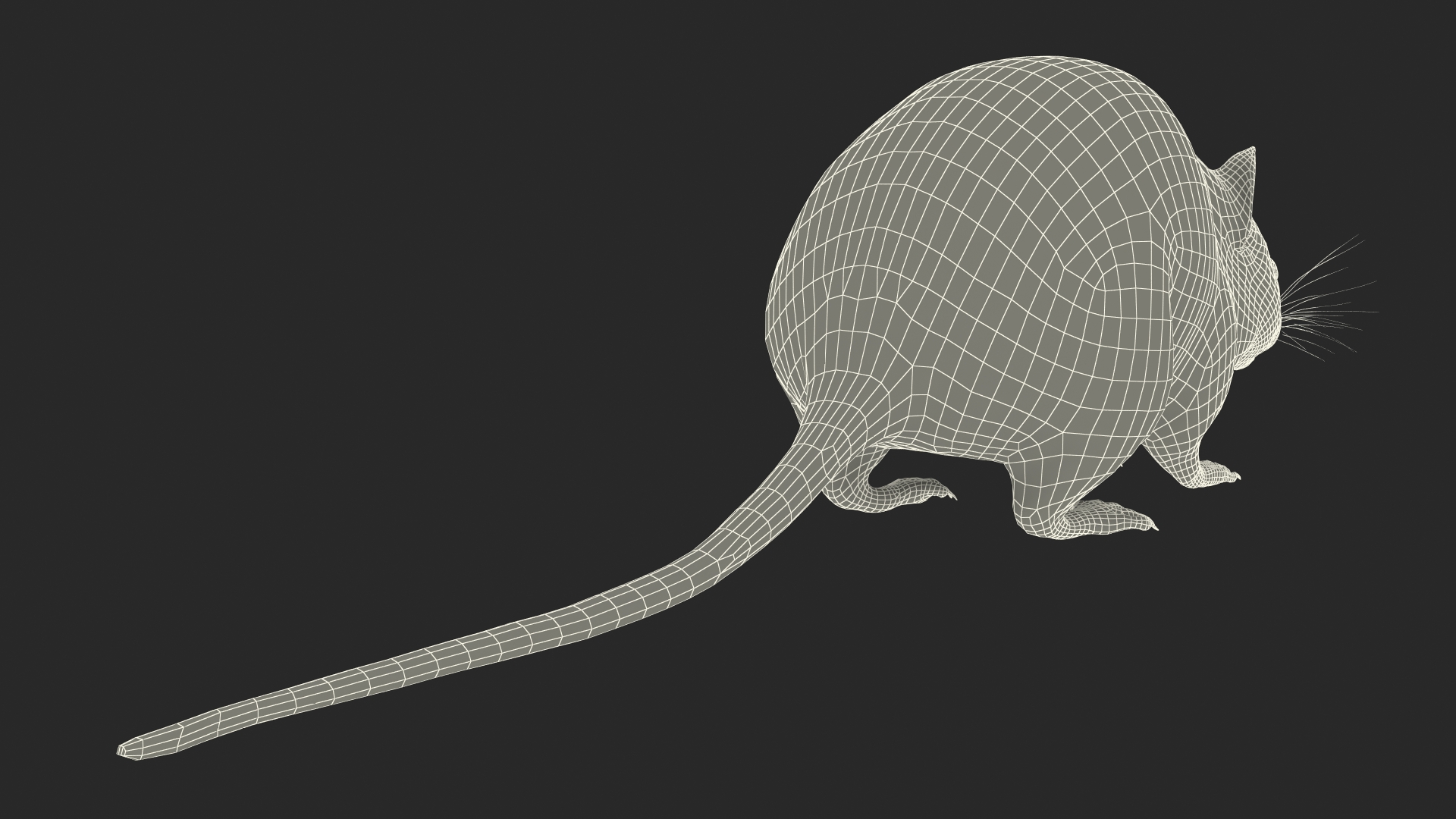 Calabyi Mouse Rigged for Cinema 4D 3D model