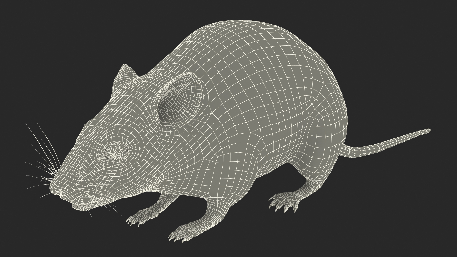 Calabyi Mouse Rigged for Cinema 4D 3D model