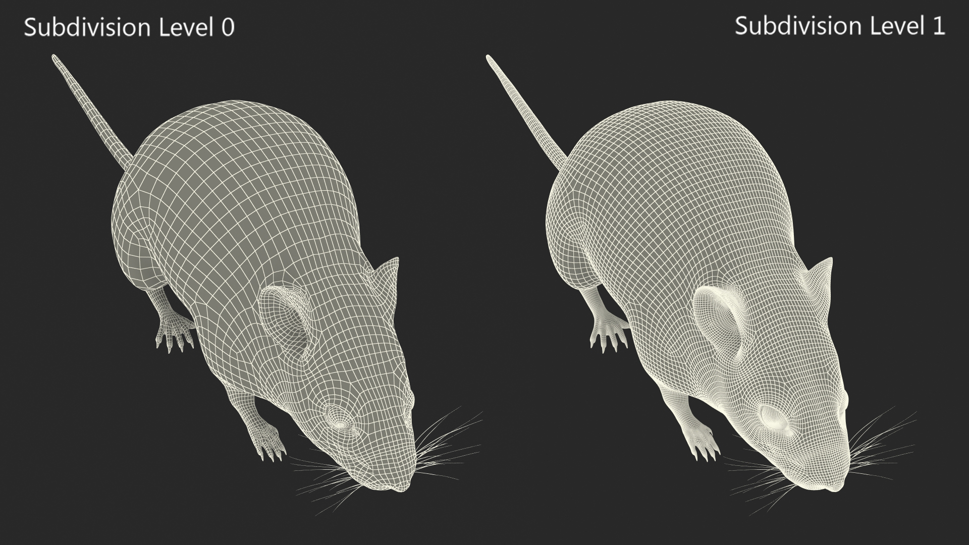 Calabyi Mouse Rigged for Cinema 4D 3D model