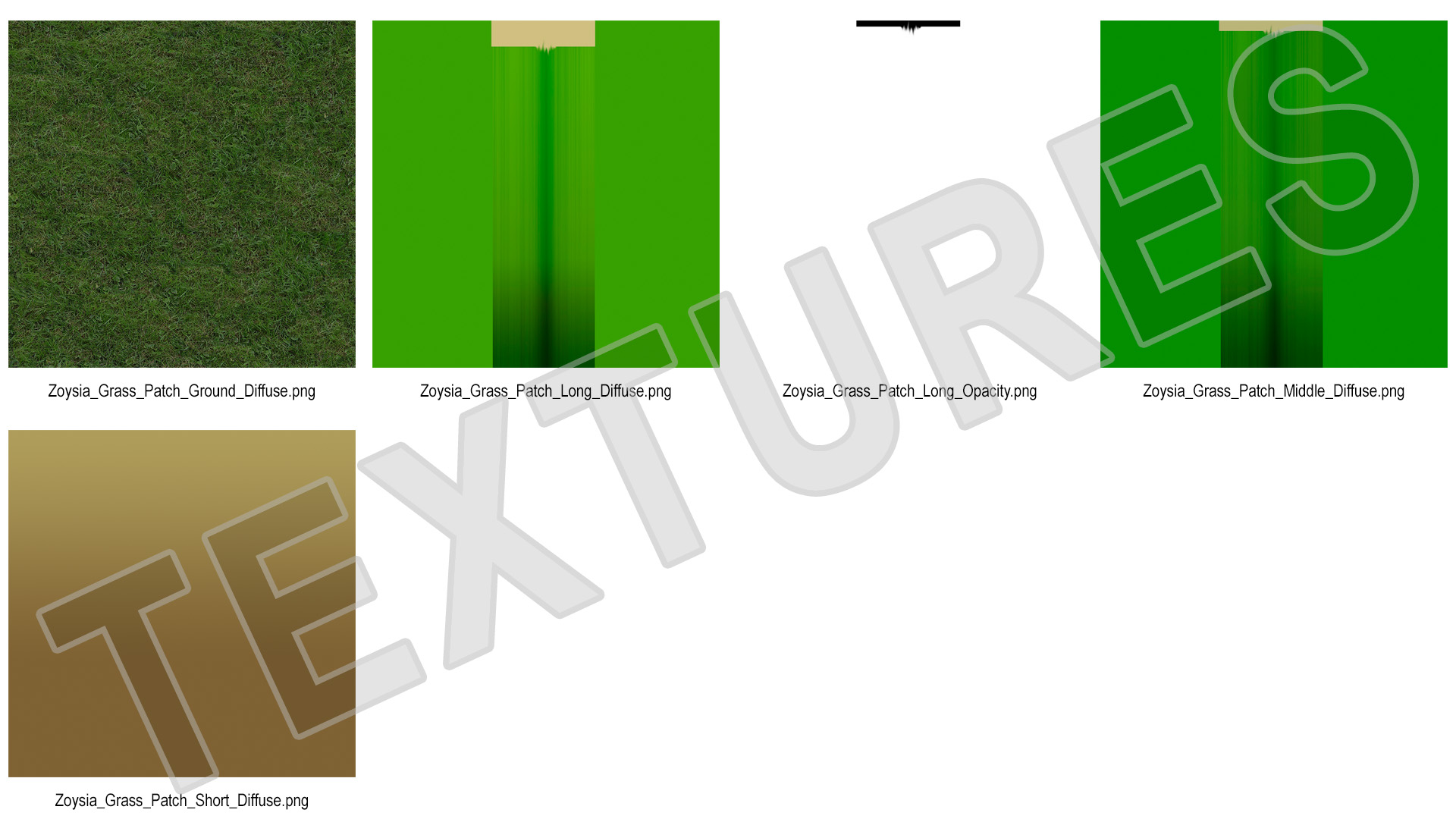 3D Zoysia Grass Patch model