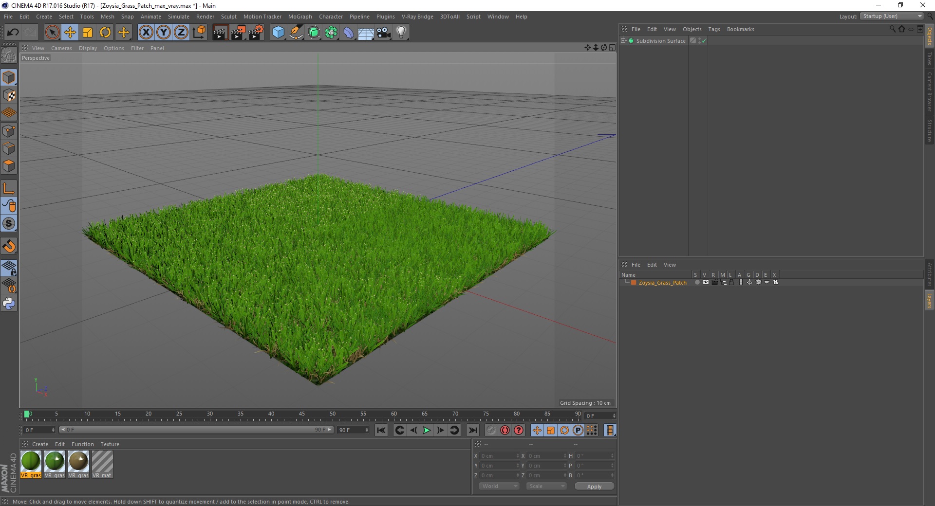 3D Zoysia Grass Patch model