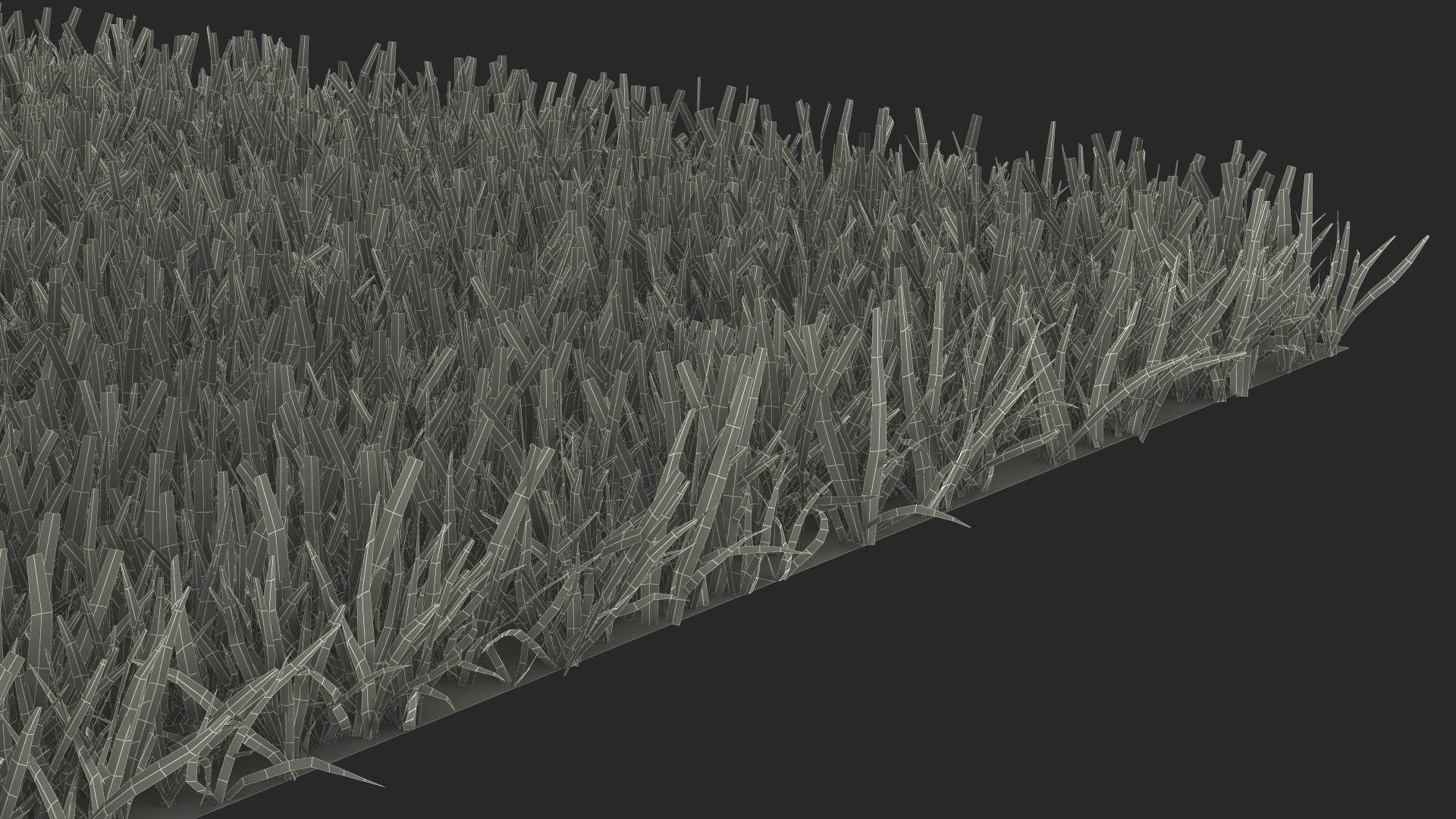 3D Zoysia Grass Patch model