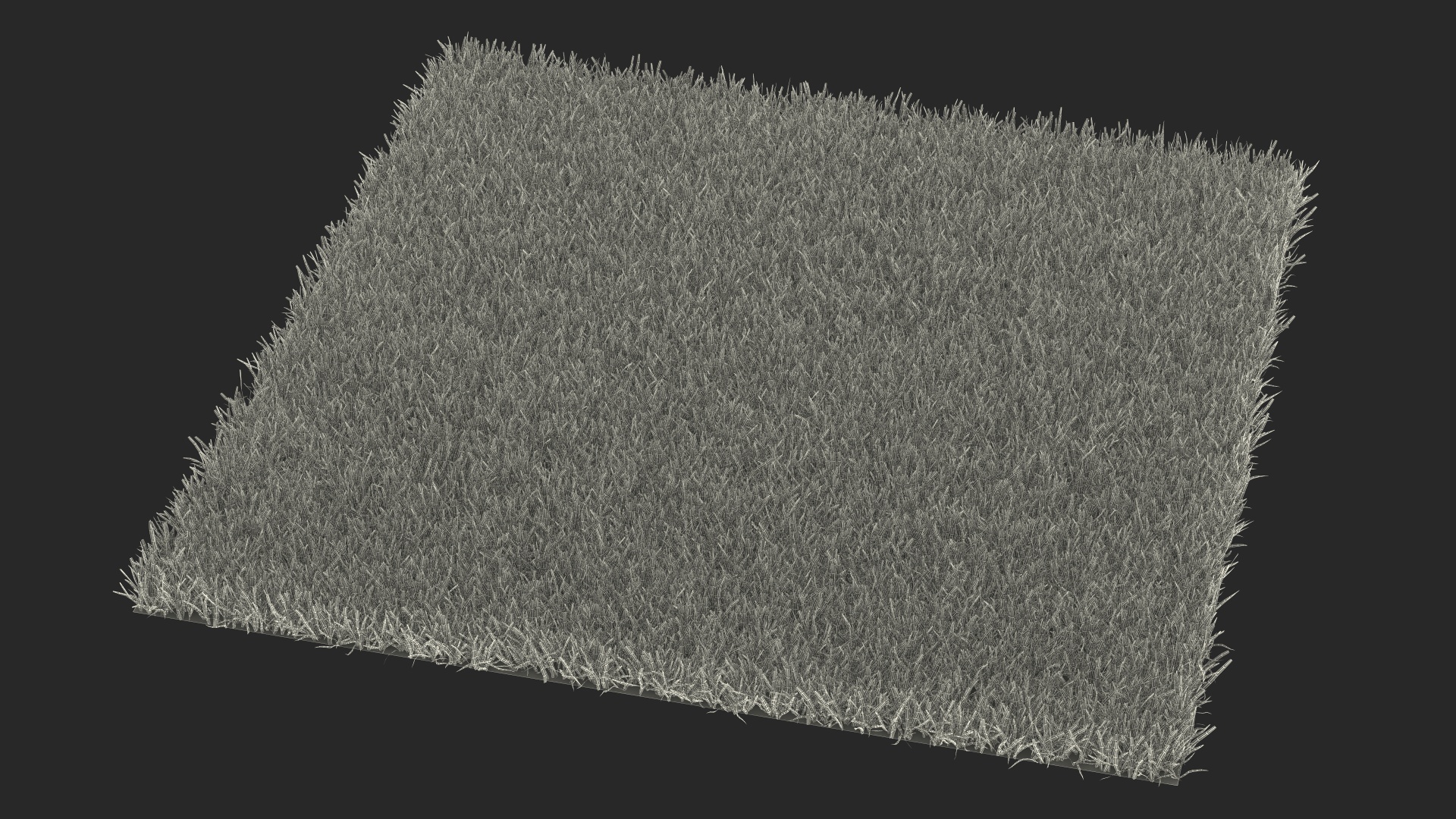 3D Zoysia Grass Patch model