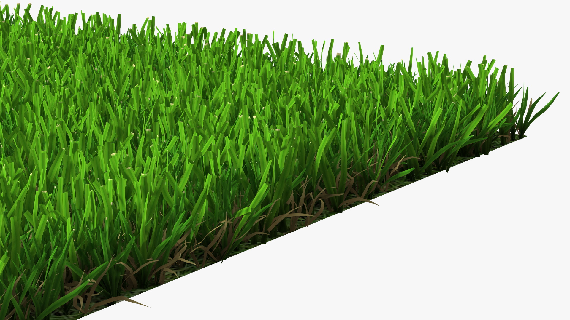 3D Zoysia Grass Patch model