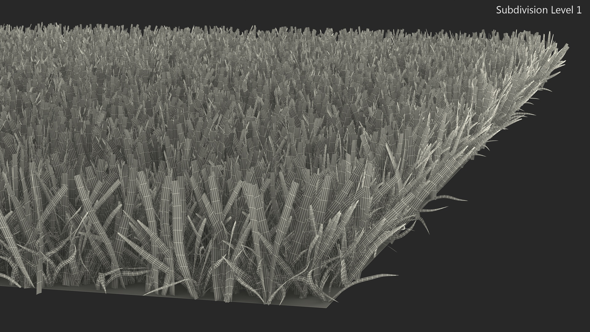 3D Zoysia Grass Patch model