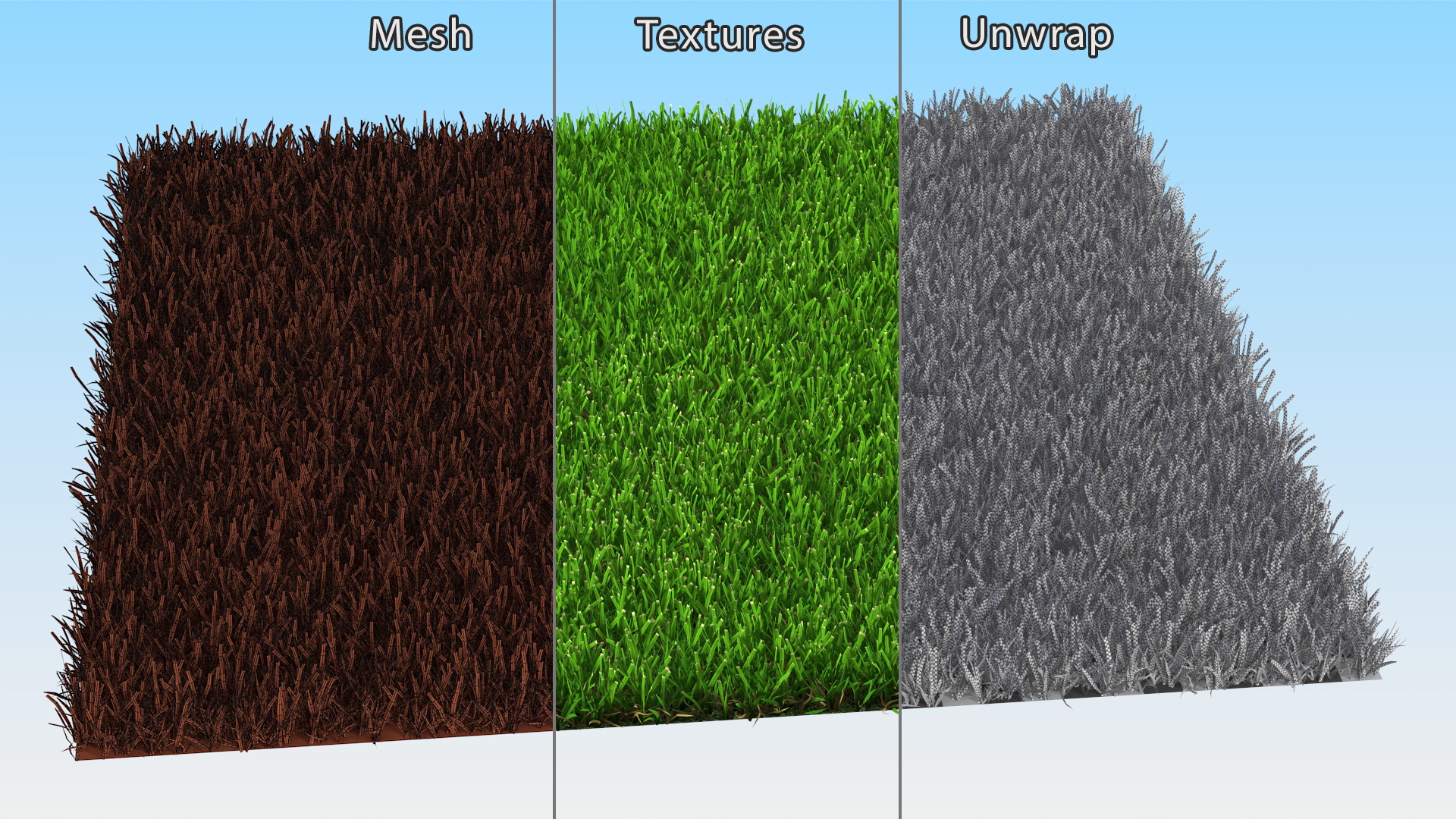 3D Zoysia Grass Patch model