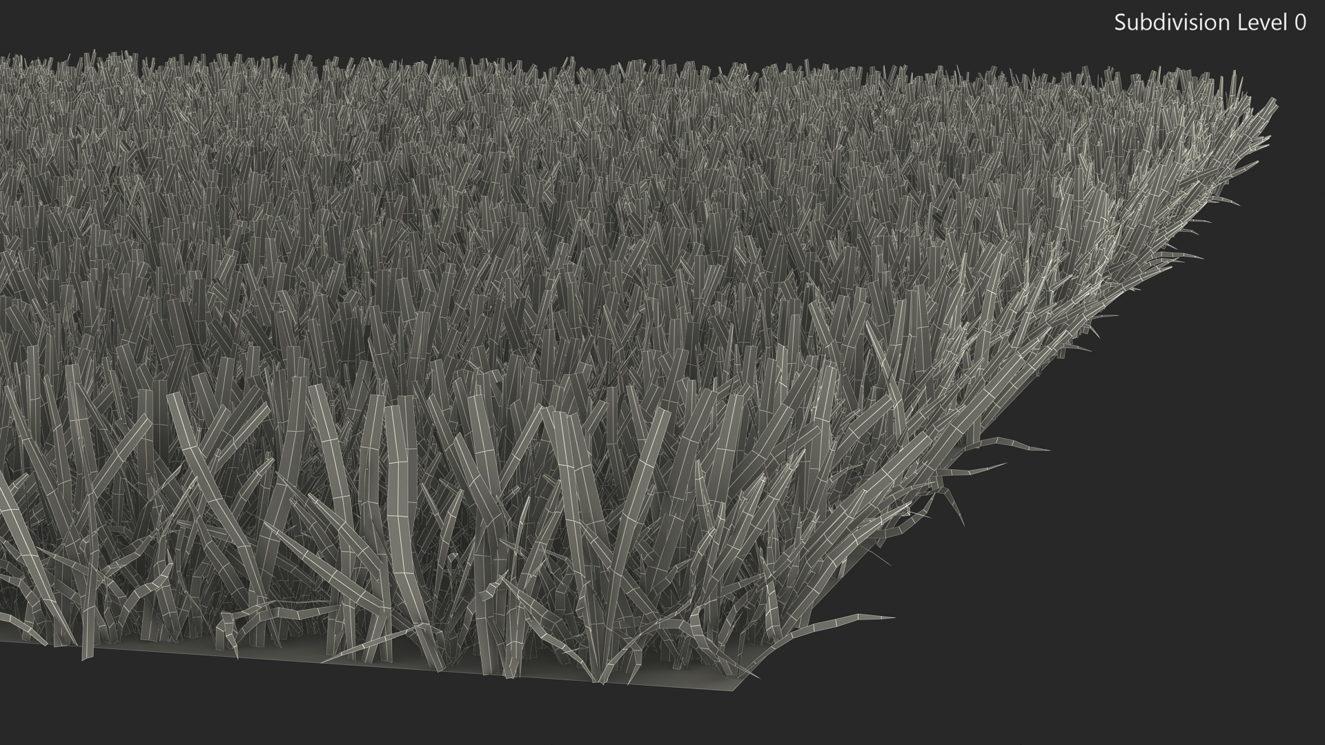 3D Zoysia Grass Patch model