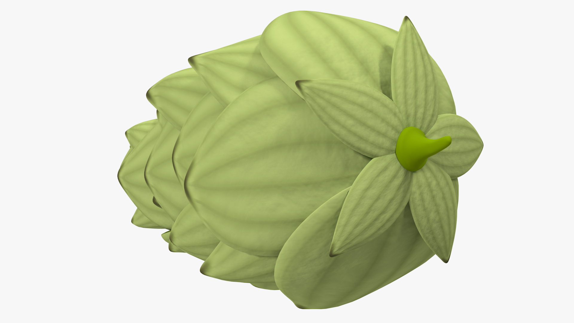 3D model Hop Cone