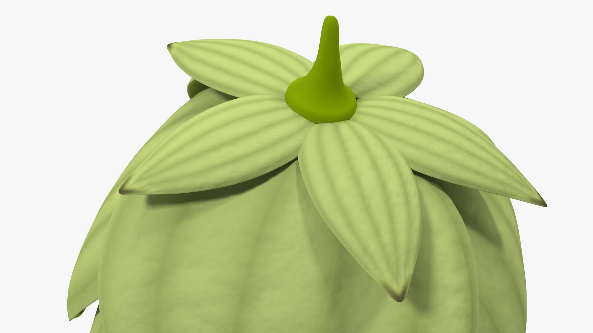 3D model Hop Cone