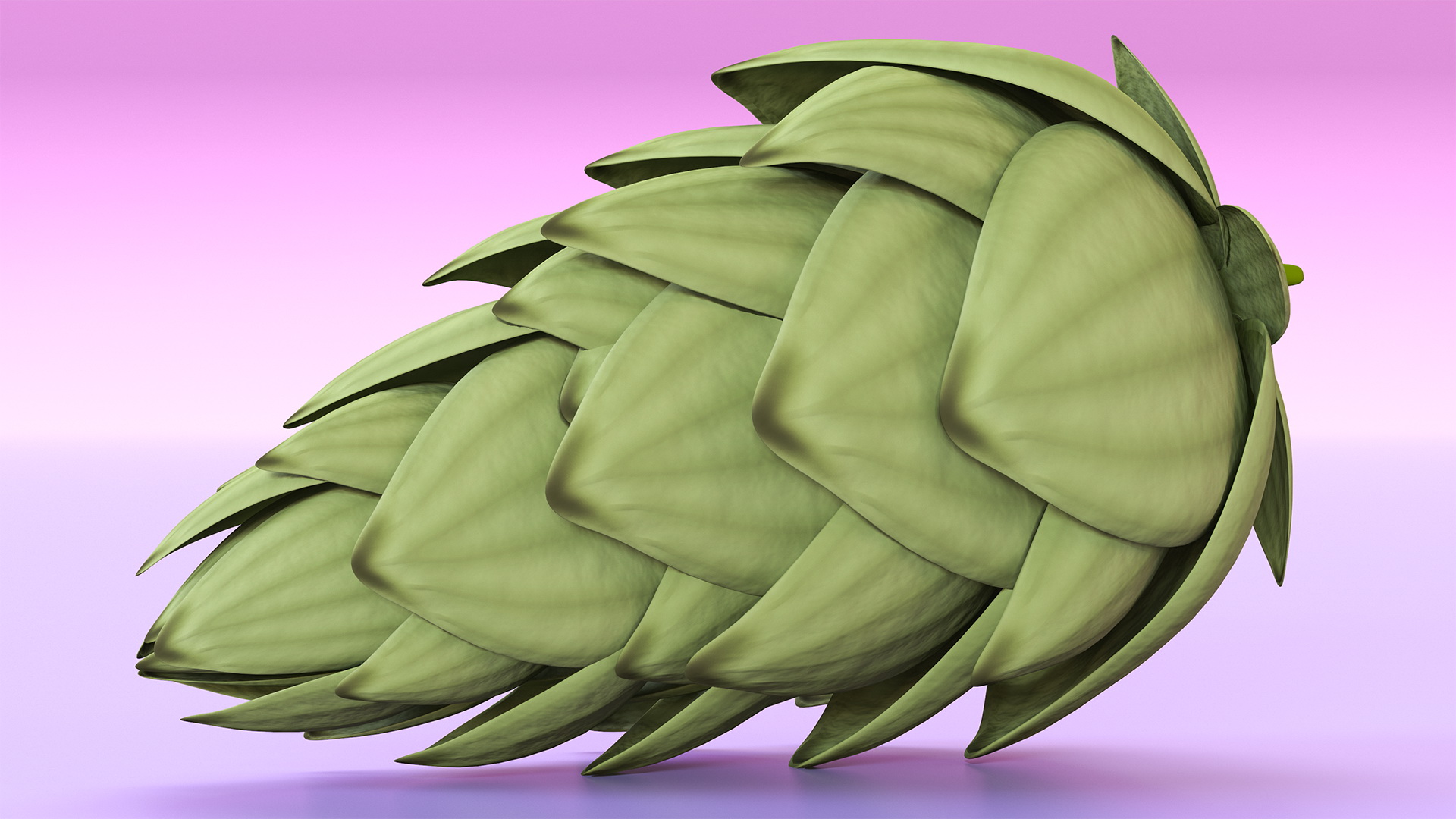 3D model Hop Cone