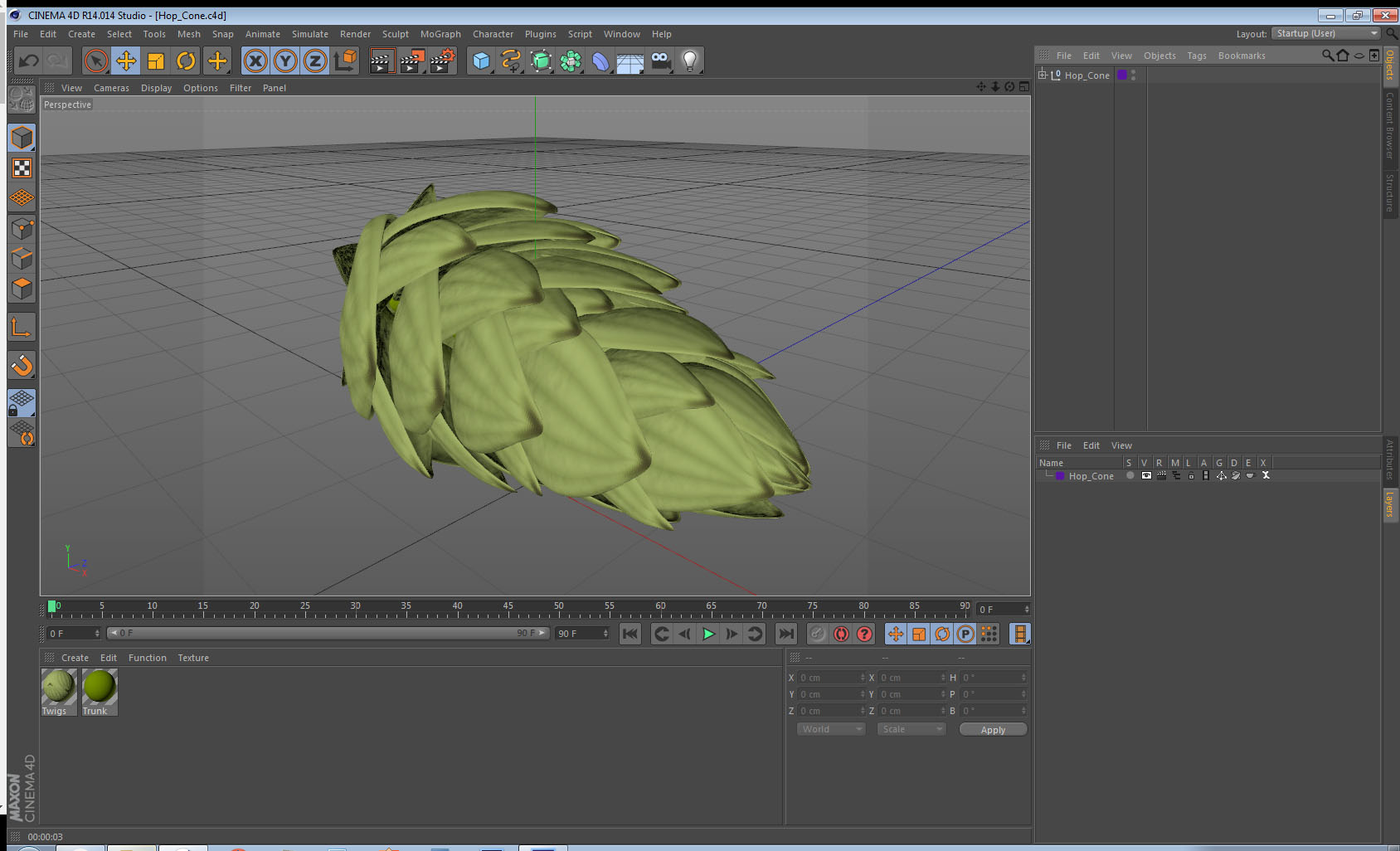 3D model Hop Cone