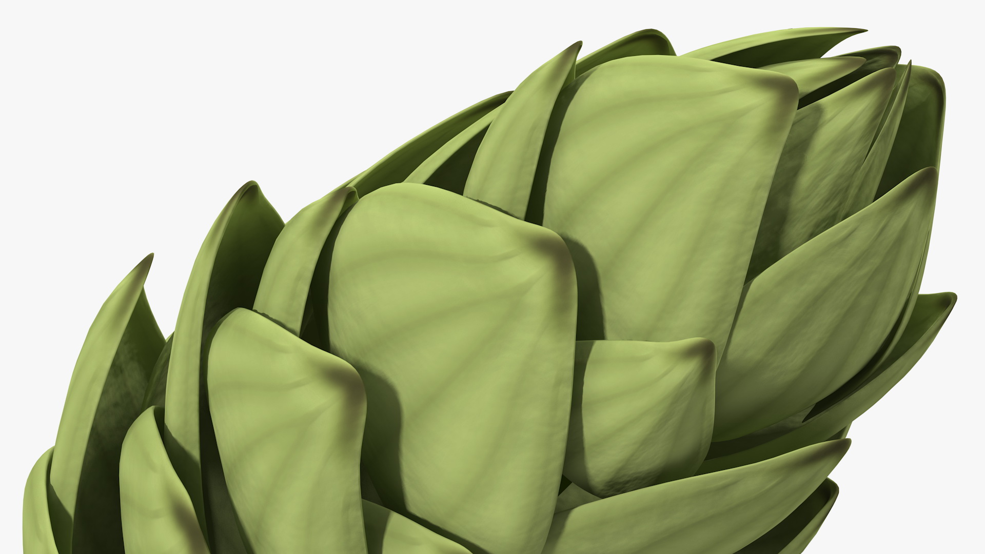 3D model Hop Cone