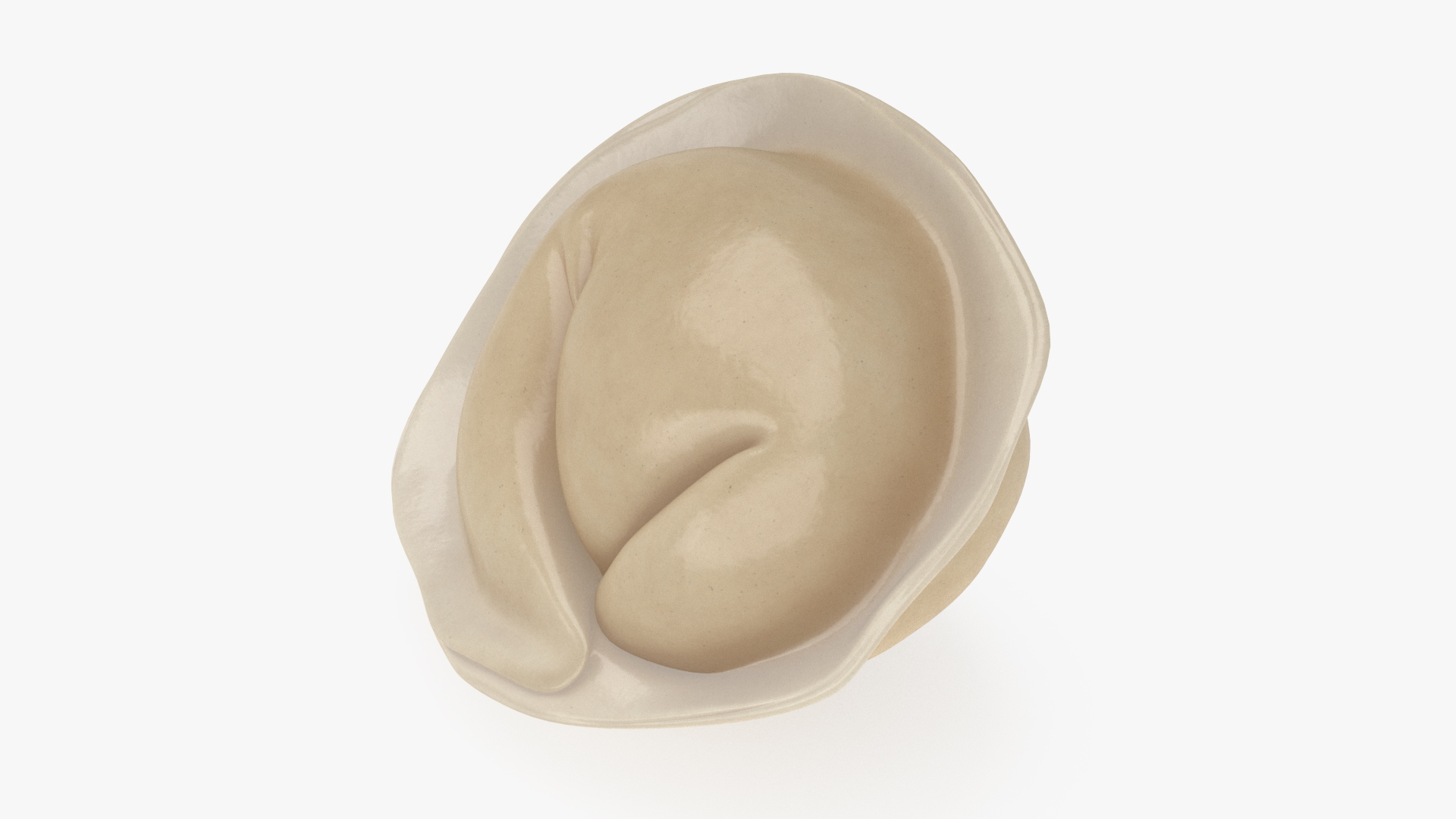 3D Pelmeni Dumpling Cooked model