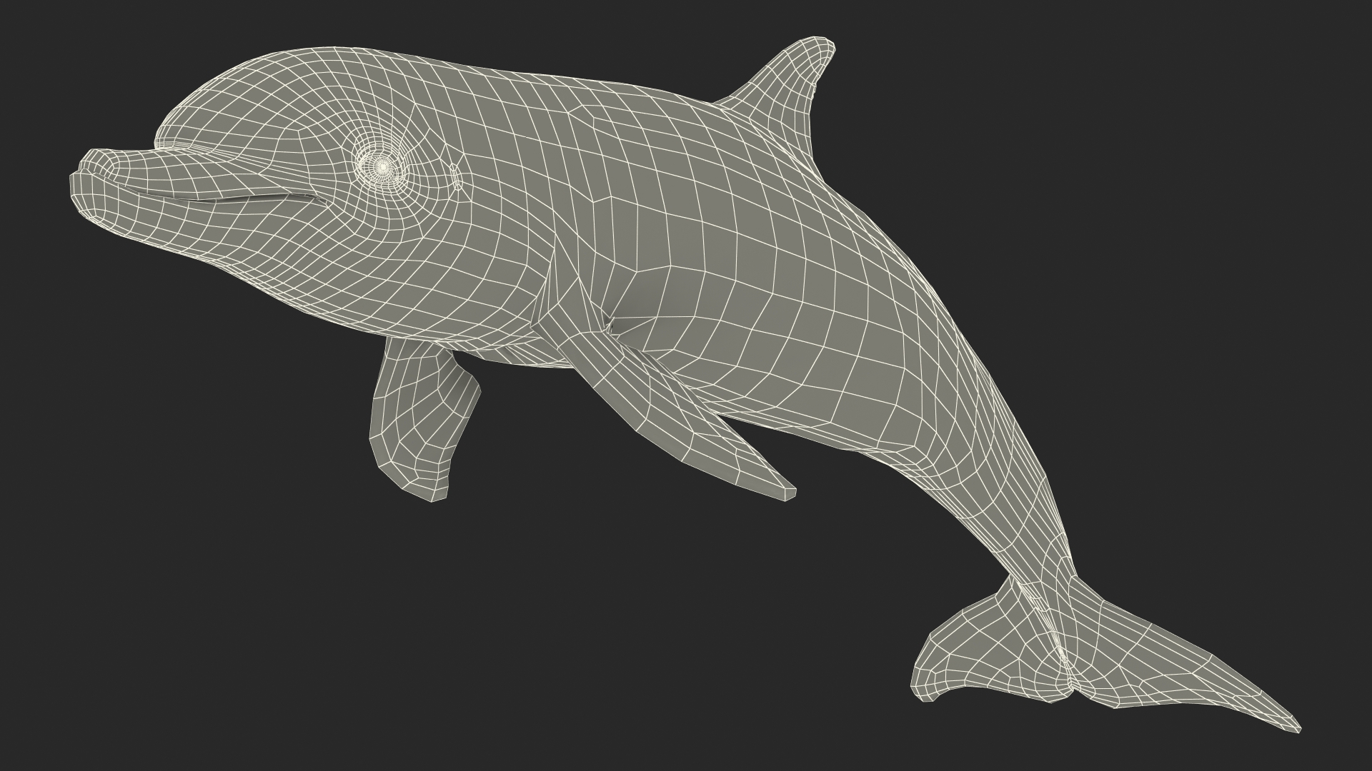 Dolphin Jumping Out Of Water Animated 3D