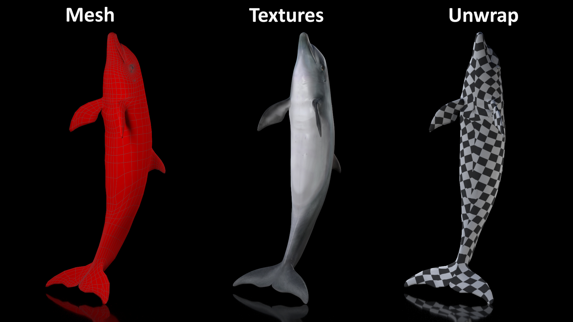 Dolphin Jumping Out Of Water Animated 3D
