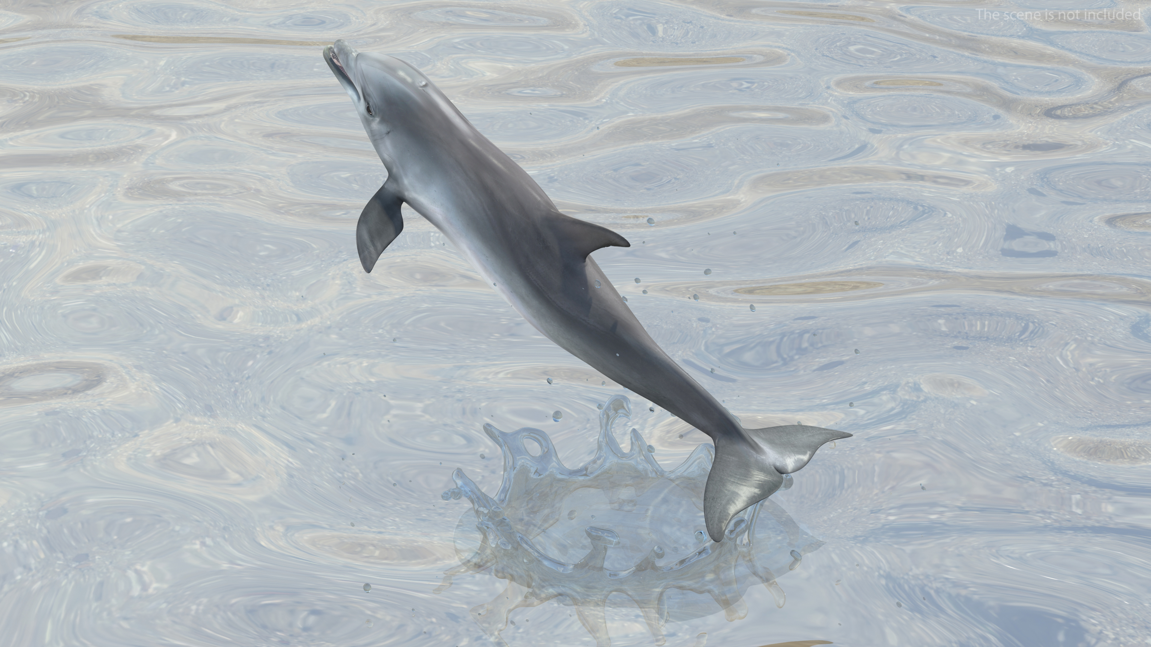 Dolphin Jumping Out Of Water Animated 3D