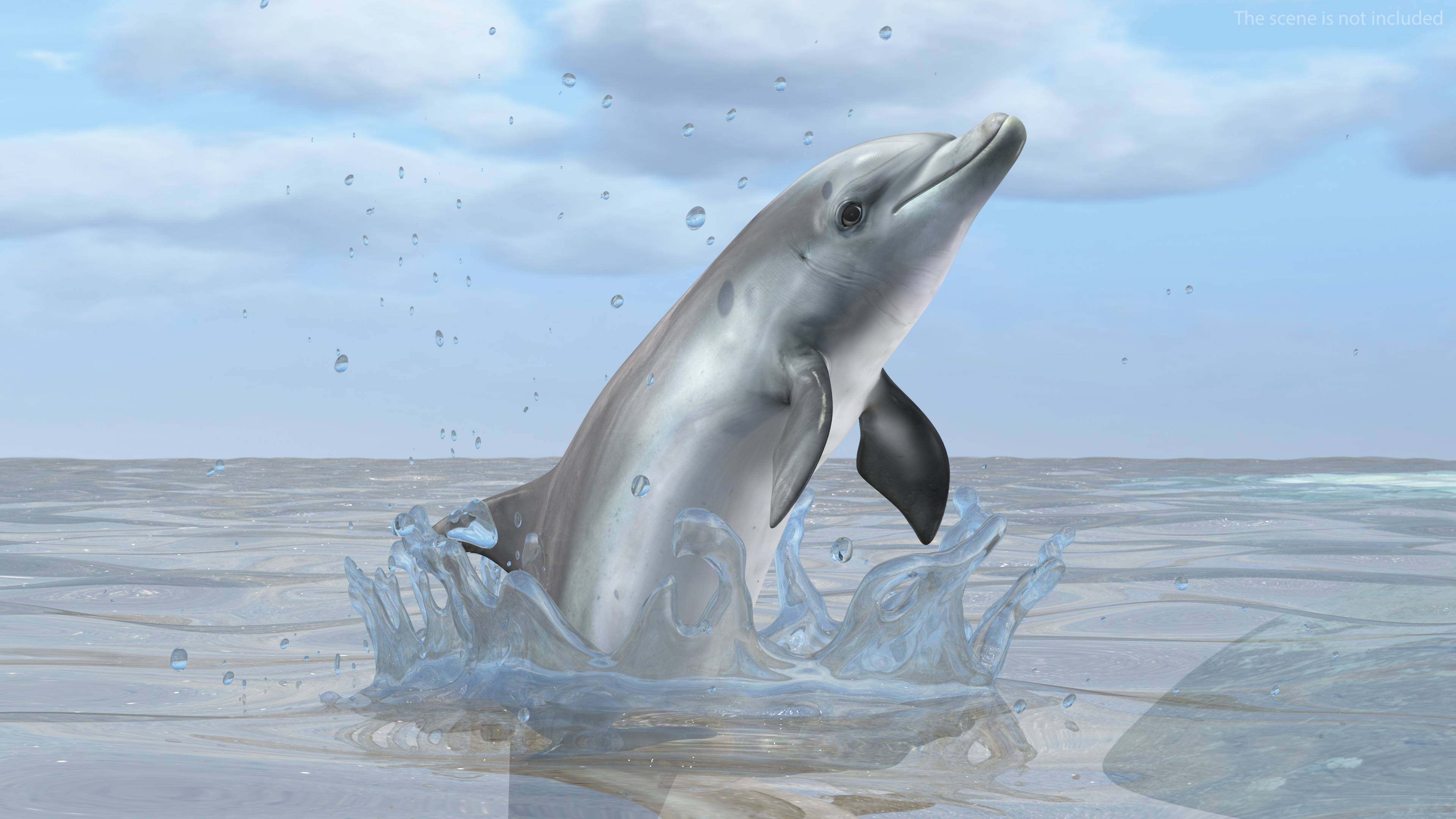 Dolphin Jumping Out Of Water Animated 3D