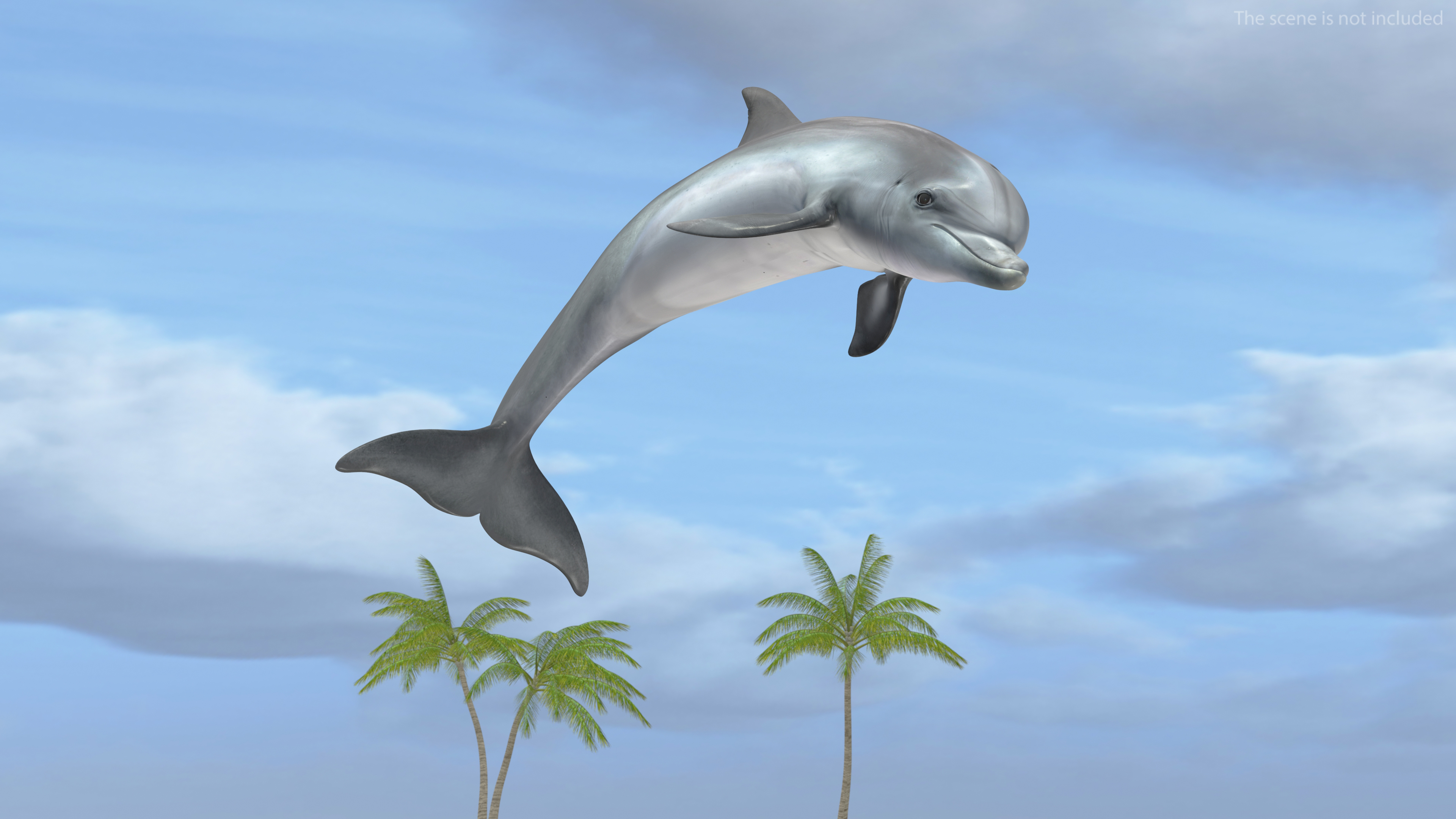Dolphin Jumping Out Of Water Animated 3D
