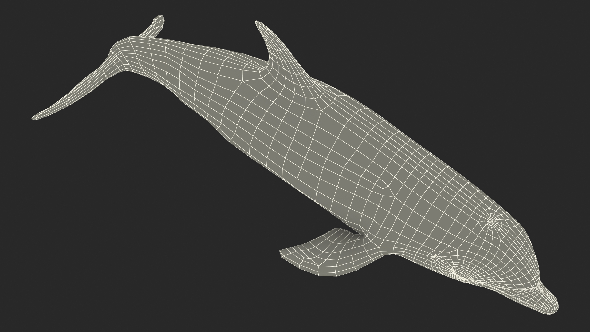 Dolphin Jumping Out Of Water Animated 3D