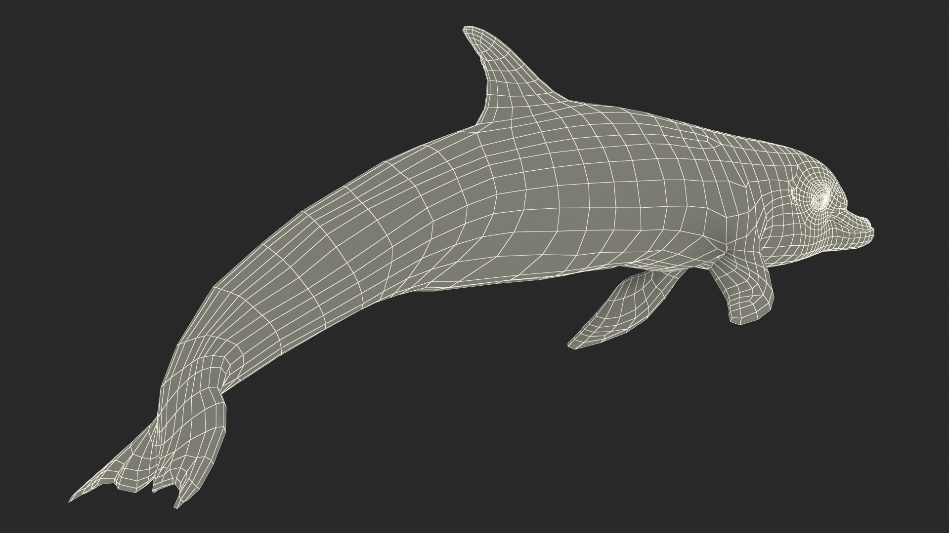 Dolphin Jumping Out Of Water Animated 3D