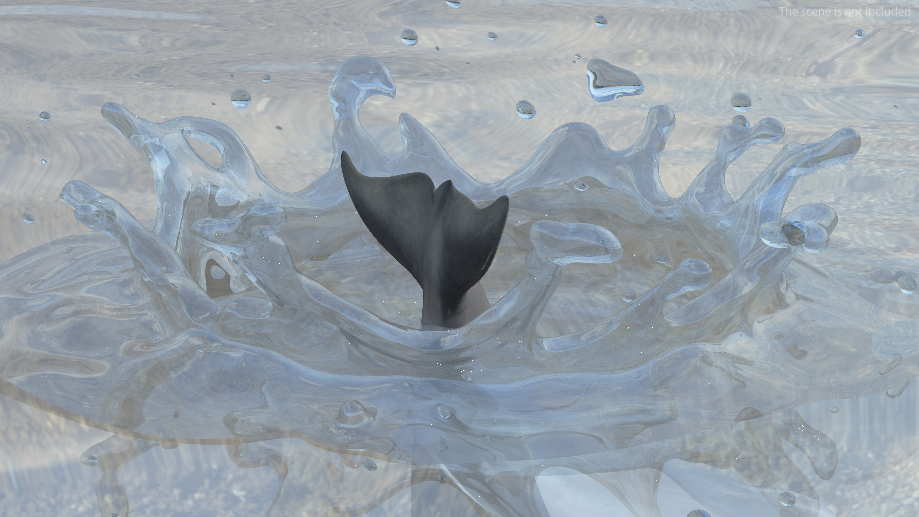 Dolphin Jumping Out Of Water Animated 3D