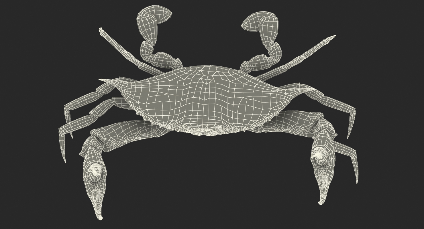3D model Blue Crab Fight Pose
