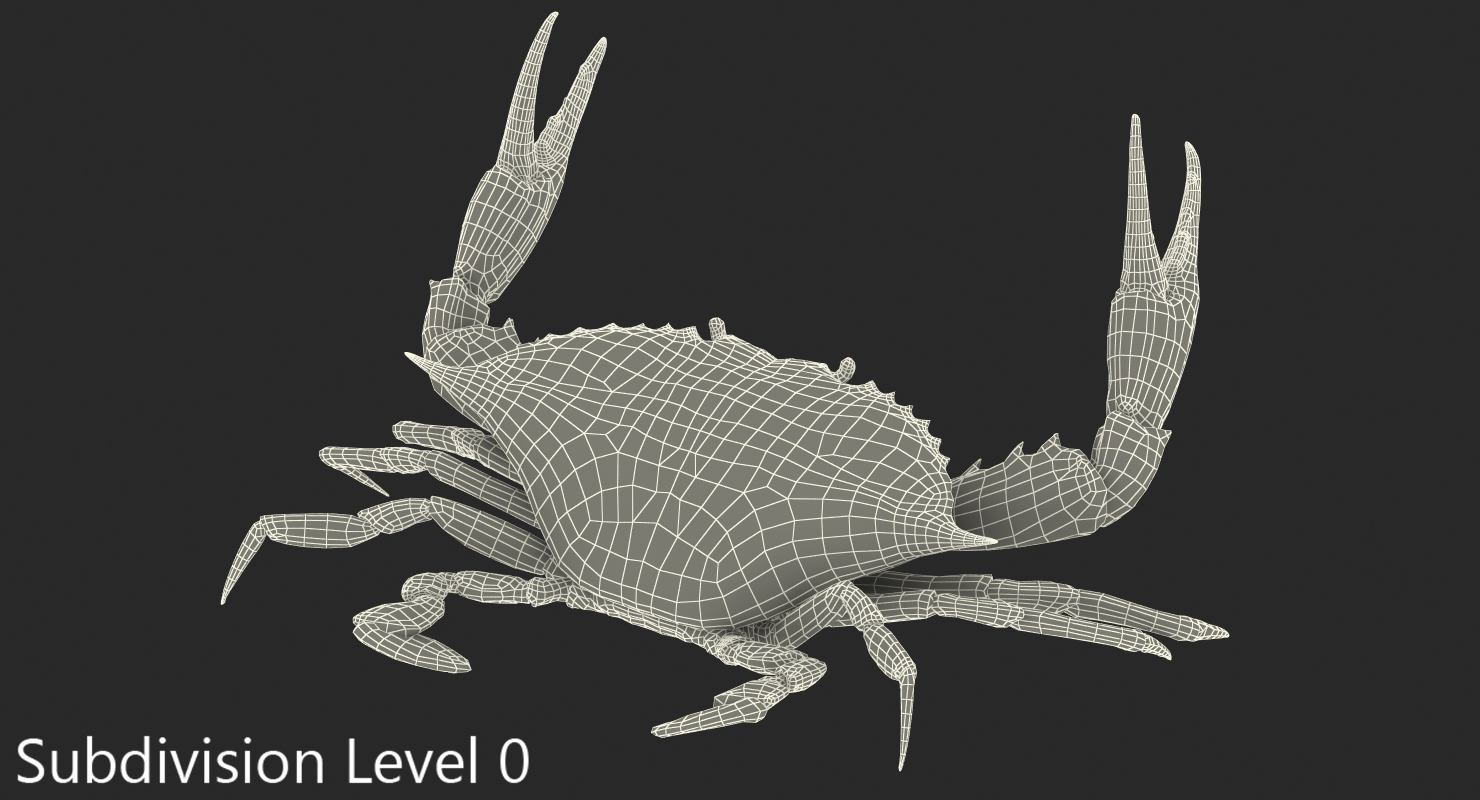 3D model Blue Crab Fight Pose