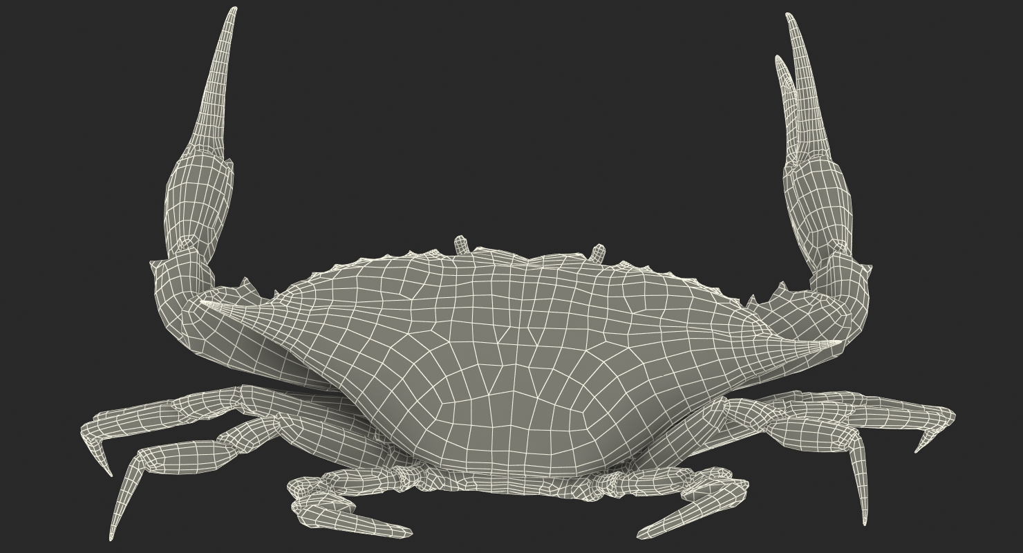 3D model Blue Crab Fight Pose
