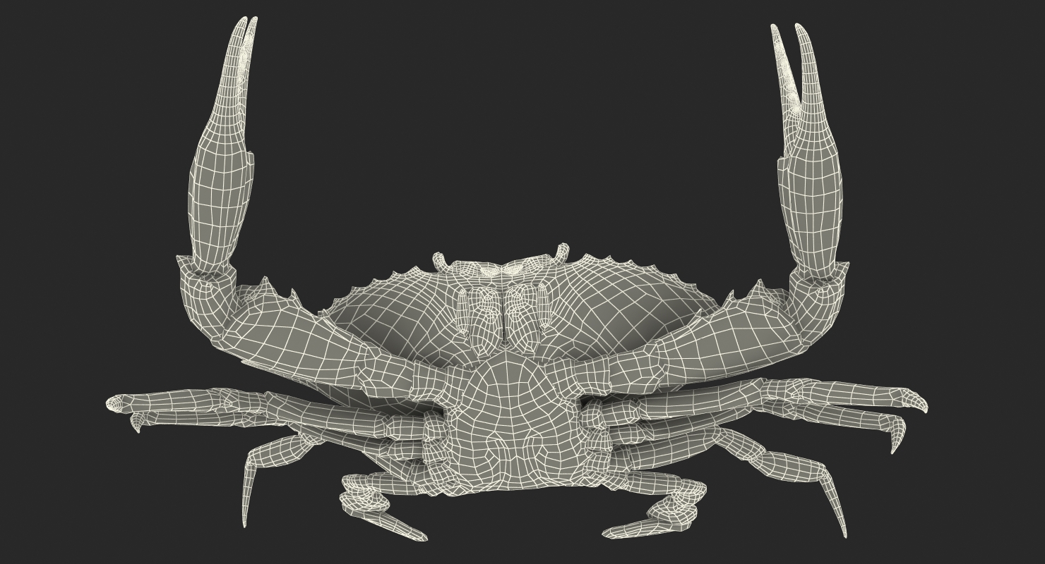 3D model Blue Crab Fight Pose