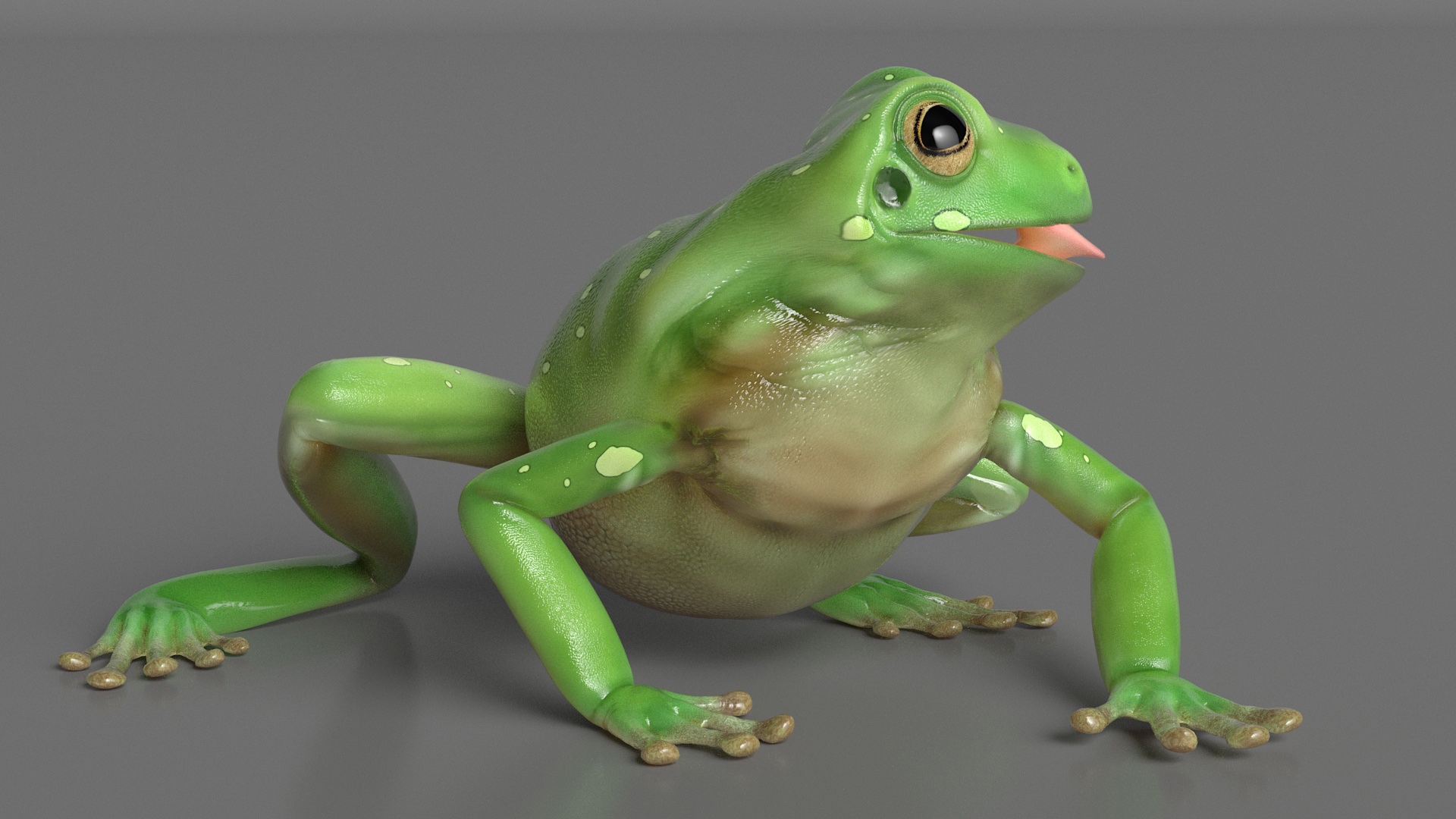 Realistic Australian Green Frog Rigged for Maya 3D