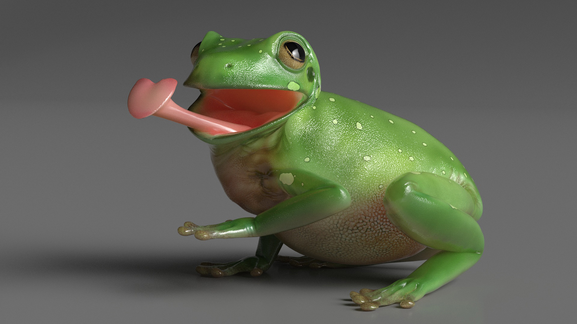 Realistic Australian Green Frog Rigged for Maya 3D