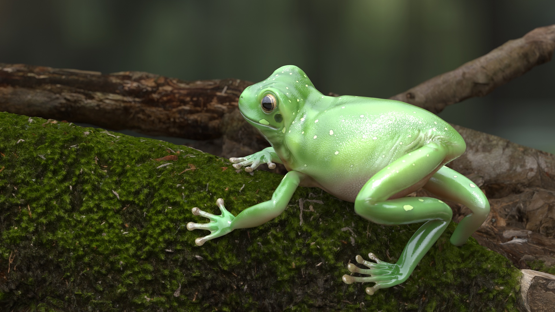 Realistic Australian Green Frog Rigged for Maya 3D