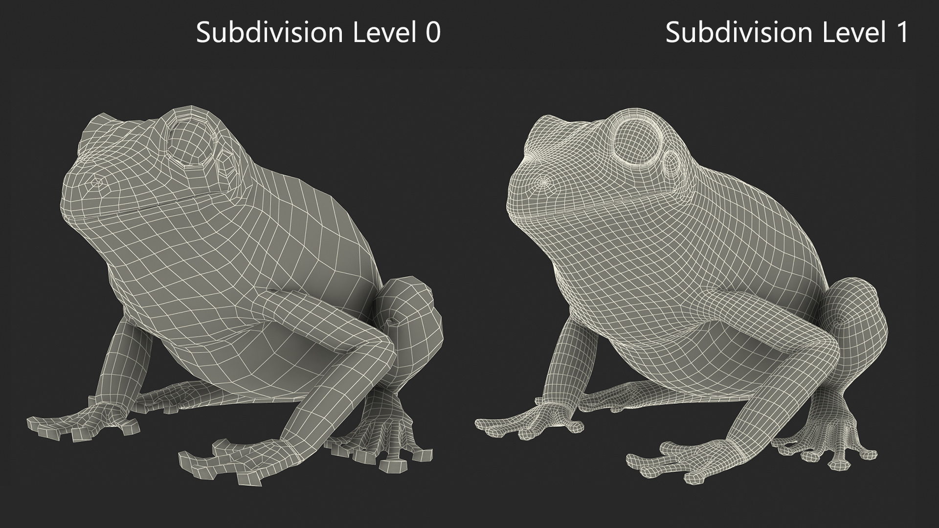 Realistic Australian Green Frog Rigged for Maya 3D